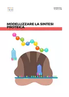 anteprima - Esperimenti - Modellizzare la sintesi proteica - Pagina di copertina