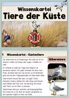 Vorschau - Stationenlernen - Tiere der Küste - Wissenskartei mit Steckbriefen - Seite 1