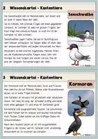 Vorschau - Stationenlernen - Tiere der Küste - Wissenskartei mit Steckbriefen - Seite 2