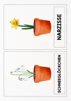 Vorschau - Arbeitsblätter - Materialpaket Frühblüher | Materialsammlung Frühling | Frühblüher - Seite 1