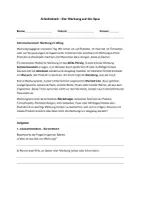 Vorschau - Arbeitsblätter - AB Differenzierung Werbung WIB 5 - Deckblatt