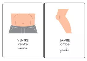 Aperçu - Jeux - Flashcards - Parties du Corps Humain - Page 1