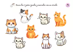 Vista previa - Refuerzo / NEE / Materiales de apoyo - MI LIBRO DE ATENCION SOSTENIDA, SELECTIVA Y DIVIDIDA - página 1