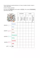anteprima - Esperimenti - MISCUGLI E SOLUZIONI_Esperimento - Pagina di copertina