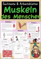 Vorschau - Arbeitsblätter - Muskeln (Körper) des Menschen - Sachtexte und Arbeitsblätter - Deckblatt