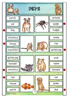 Vorschau - Spiele - PETS - pet/pet equipment - Klammerkarten - Seite 2