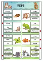 Vorschau - Spiele - PETS - pet/pet equipment - Klammerkarten - Seite 3