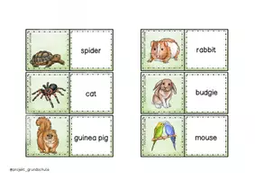 Vorschau - Spiele - PETS - pets/pet equipment - Domino - Seite 3