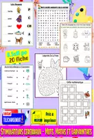 Aperçu - Feuilles d'exercices - Stimulateurs cérébraux – Mots, Maths et Labyrinthes - Page de couverture