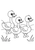 Vorschau - Mal- und Bastelvorlagen - Ausmalbilder Thema Gänse - Grundschule - Bastelvorlagen - Seite 3