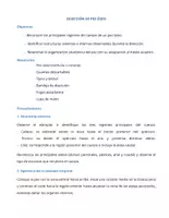 Vista previa - Unidades / Secuencias / Situaciones de Aprendizaje - Disección de pez óseo – Trabajo práctico de laboratorio con guía visual narrada (ESO) - página 2