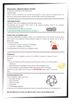 Vorschau - Arbeitsblätter - Materialpaket Satzglieder + Zeitformen - Seite 3