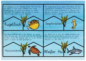 Vorschau - Aufgabenkarten - Meerestiere: Lesepuzzle & Wissens-Check - Sachunterricht - Kl. 2/3 - Seite 1
