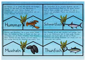 Vorschau - Aufgabenkarten - Meerestiere: Lesepuzzle & Wissens-Check - Sachunterricht - Kl. 2/3 - Seite 3