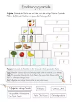 Vorschau - Unterrichtsreihen - Ernährungspyramide - Arbeitsblätter & Tafelmaterial (3./4. Klasse) - Seite 3