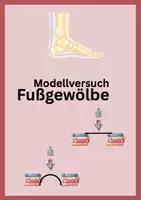 Vorschau - Arbeitsblätter - AB Modellversuch zum Fußgewölbe - Deckblatt