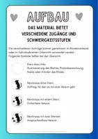 Vorschau - Präsentationen/Tafelbilder - Rennmäuse: Bildkarten in Farbe - Seite 2