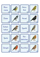 Vorschau - Stationenlernen - Vögel im Garten - Merk-es-dir!, 3-fach differenziert - Seite 1