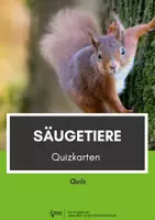 Vorschau - Quiz - Säugetiere ⎜ 27 Quizkarten für deinen Biologieunterricht - Deckblatt