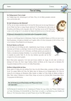 Vorschau - Arbeitsblätter - Tiere im Frühling - Amsel, Biene und Igel - Deckblatt