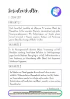 Vorschau - Lehrpläne/Lehrermaterial - Zeugnisformulierungen Grundschule – Freebie Edition - Seite 2