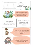 Vorschau - Arbeitsblätter - Mystery: Warum kippt der See plötzlich um? (Eutrophierung) - Seite 3