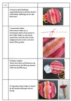 Vorschau - Mal- und Bastelvorlagen - farbenfrohe Qualle nähen (3.-4.Klasse) - Seite 2