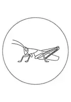 Vorschau - Arbeitsblätter - runde Prickelbilder / Fensterbilder: Grashüpfer - Grundschule - Bastelvorlagen - Seite 2