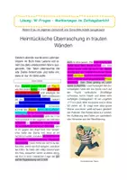 Vorschau - Arbeitsblätter - W-Fragen in einem Zeitungsbericht - Seite 3