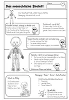Vorschau - Arbeitsblätter - Unser Körper - das Skelett | Sachunterricht Volksschule - Seite 3