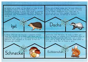 Vorschau - Aufgabenkarten - Tiere im Winter: Legepuzzle & Lesespiel (Wissens-Check) - Sachunterricht - Kl. 2/3 - Seite 3