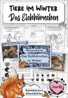 Vorschau - Arbeitsblätter - Tiere im Winter: Das Eichhörnchen (Wissenskartei & Arbeitsblätter) - Deckblatt