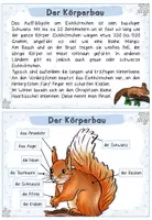 Vorschau - Arbeitsblätter - Tiere im Winter: Das Eichhörnchen (Wissenskartei & Arbeitsblätter) - Seite 3