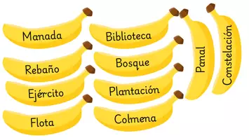 Vista previa - Juegos / Gamificación - SUSTANTIVOS INDIVIDUALES Y COLECTIVOS🐒 - página 3