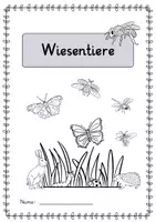 Vorschau - Arbeitsblätter - Wiesentiere - Arbeitsheft mit Infotexten und Verständnisfragen (Klasse 2) - Seite 2