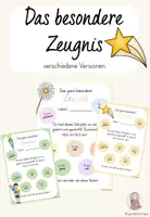 Vorschau - Anderer Materialtyp - Das wahre Zeugnis - Deckblatt