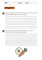 Vorschau - Arbeitsblätter - Vitamin A: Funktion und Bedeutung: Ernährung & Mangel - Seite 3
