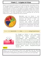 Vorschau - Arbeitsblätter - Vitamine Bundle: Vitamin A, B, C und D - Vitaminmangel & Stoffwechsel - Seite 2