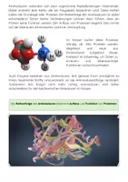 Vorschau - Arbeitsblätter - Aminosäuren: Aufbau & Eigenschaften - Seite 3