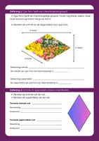 Voorbeeld - Werkblad rekenen: Omtrek en oppervlakte ruit - Pagina 1
