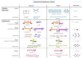 Vorschau - Poster - Übersicht / Handout: Polymerisation und Polykondensation - Seite 1