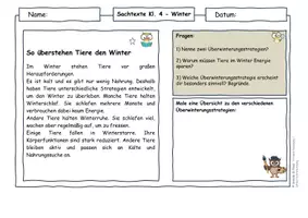 Vorschau - Arbeitsblätter - Tiere im Winter Klasse 4 - Winterschlaf, Winterruhe, Winterstarre, winteraktiv - Seite 1