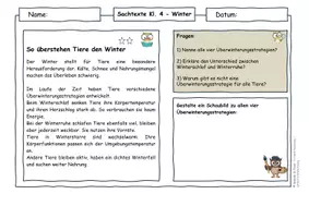 Vorschau - Arbeitsblätter - Tiere im Winter Klasse 4 - Winterschlaf, Winterruhe, Winterstarre, winteraktiv - Seite 2
