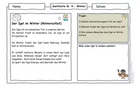 Vorschau - Arbeitsblätter - Tiere im Winter Klasse 4 - Winterschlaf, Winterruhe, Winterstarre, winteraktiv - Seite 3