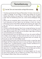 Vorschau - Arbeitsblätter - Samenkeimung Lesetext mit Fragen + Lösungen Leseverstehen Wortspeicher didaktische Reserve Lesen Leseverständnis - Seite 3