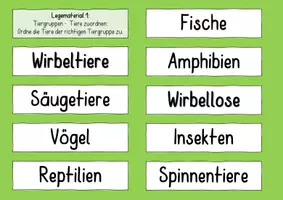 Vorschau - Poster - Tiergruppen – Wirbeltiere & Wirbellose | Legematerial mit Bildkarten & Merkmalkarten (Sachunterricht 3./4. Klasse) - Seite 1