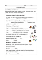 Vorschau - Stundenentwürfe - Feuer - Verbrennung und Oxidation - Seite 3