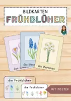 Vorschau - Poster - Frühblüher - Bildkarten und Poster - Deckblatt
