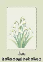 Vorschau - Poster - Frühblüher - Bildkarten und Poster - Seite 3