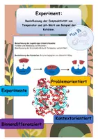 Vorschau - Arbeitsblätter - Experiment: Beeinflussung der Enzymaktivität am Beispiel der Katalase - Deckblatt